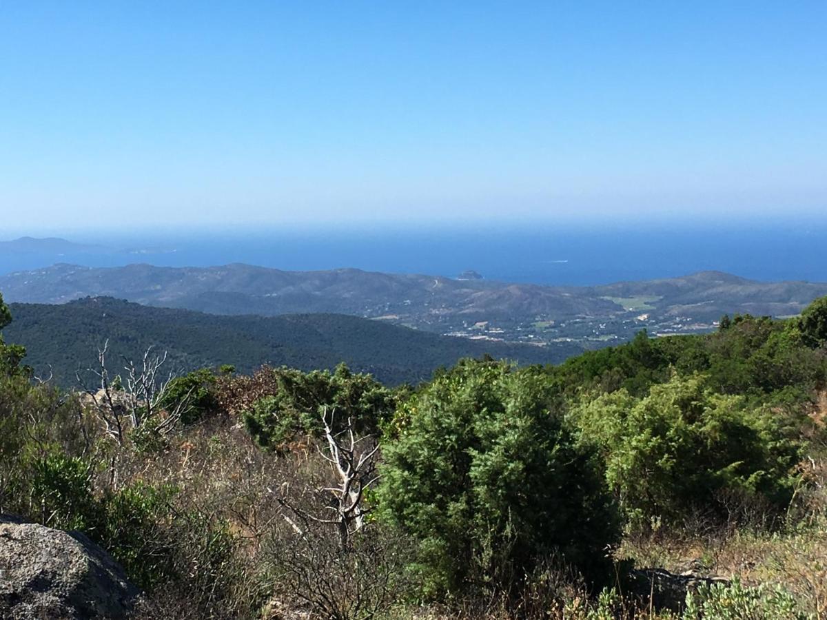 La Petite Bergerie, Les Hautes Roches Collobrieres Bagian luar foto