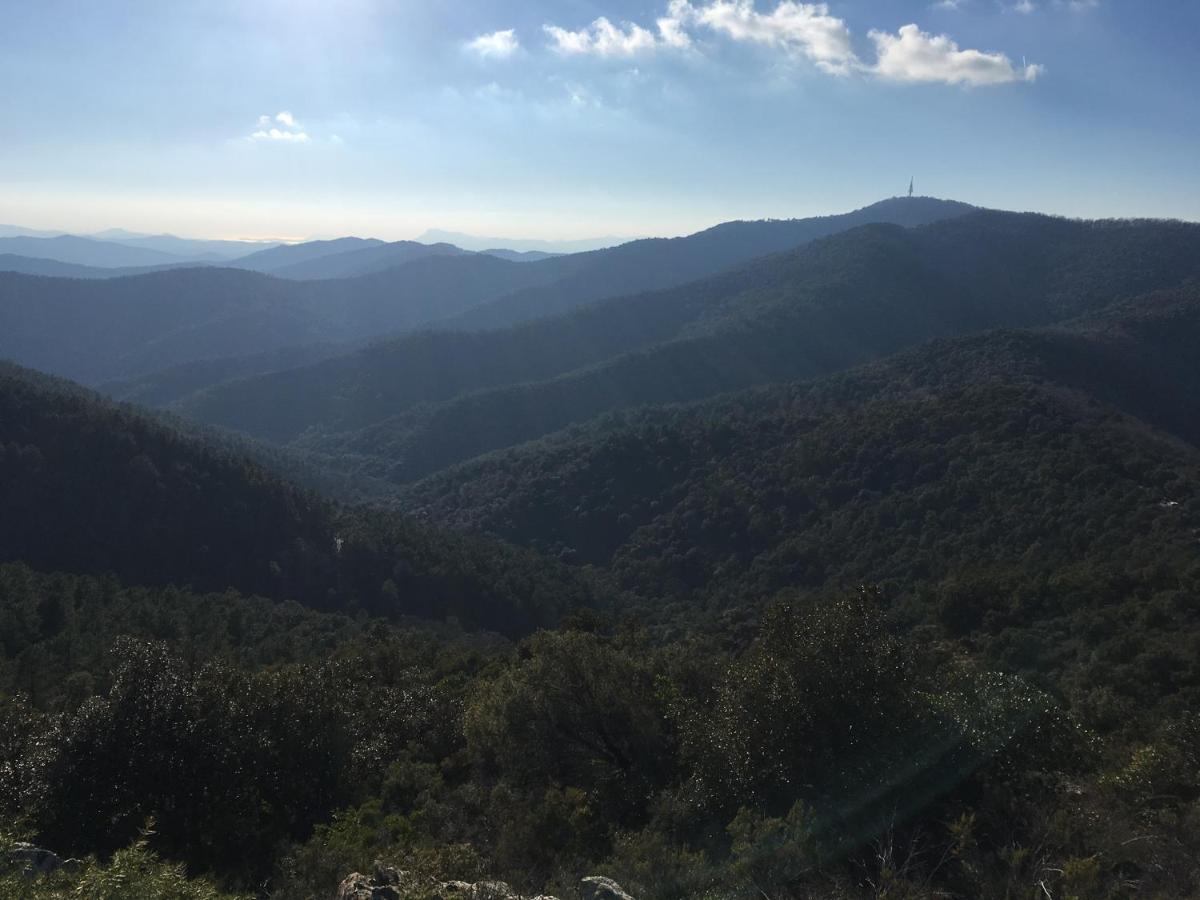 La Petite Bergerie, Les Hautes Roches Collobrieres Bagian luar foto